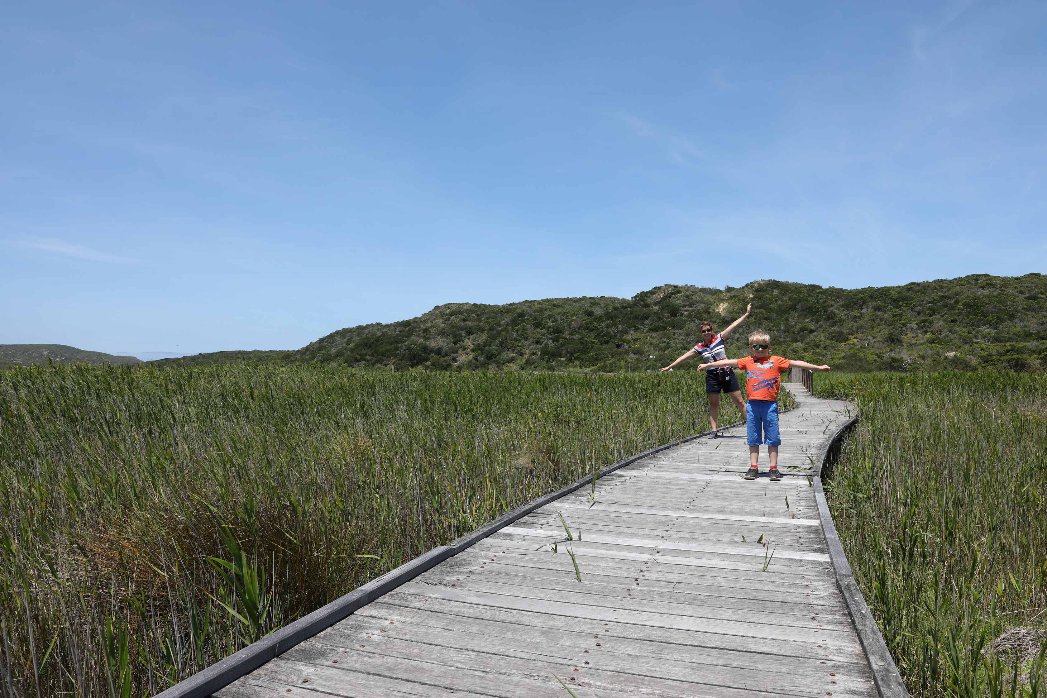 Wetlands Boardwalk